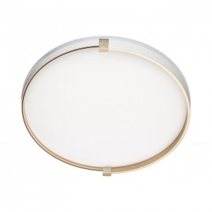 Настенно-потолочный светодиодный светильник Sonex Pale Olidi White 7646/DL