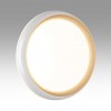 Настенно-потолочный светодиодный светильник Sonex Pale Tofiq White 7650/EL
